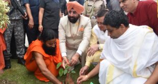 जड़ीबूटी