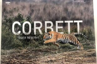 Corbett Tiger Reserve: पाखरो रेंज घोटाला..।सीबीआई ने मुकदमा दर्ज किया, पूर्व डीएफओ और रेंजर के घर पर छापे