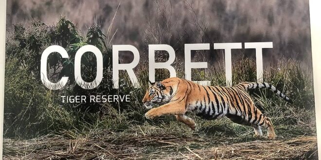 Corbett Tiger Reserve: पाखरो रेंज घोटाला..।सीबीआई ने मुकदमा दर्ज किया, पूर्व डीएफओ और रेंजर के घर पर छापे
